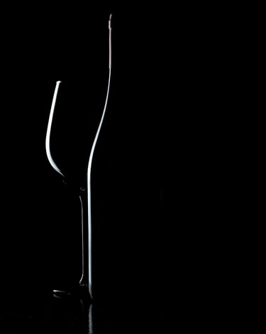 photographie de bouteille et verre de vin en contre jour thierry le moel photographe