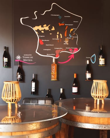 vins du domaine terre de mistral en provence-thierry le moel photographe