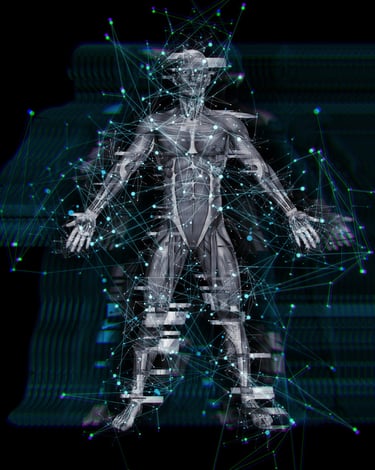 coprs humain physique les sphères