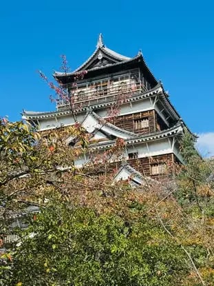 Hiroshima Castle surrounded by autumn trees under a clear blue sky, Japan