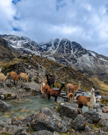 Comunidad rural en América Latina desarrollando turismo sostenible con enfoque territorial