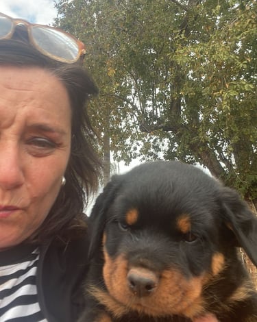 rottweiler breeder 