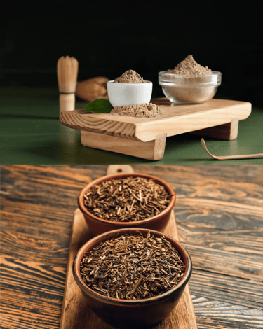 hojciha tea