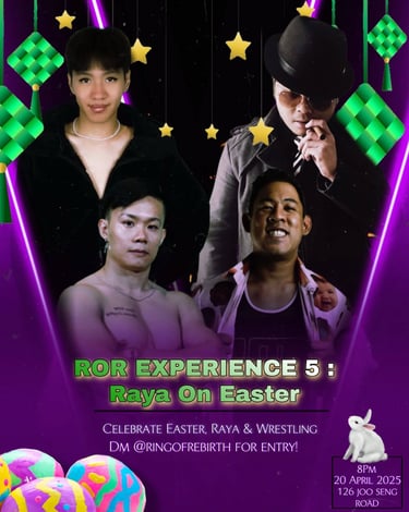 Poster for Ring of Rebirth Experience 5