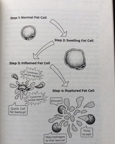 A fat cell is swolling, inframed, and broken.