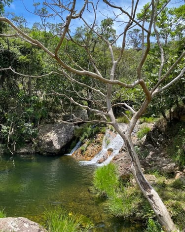 Poço natural e pequena queda d’água na Cachoeira Paraíso dos Pássaros, na Serra da Canastra MG