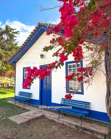 Casa histórica com cores azul e branca com dois bancos e arvore florida na frente
