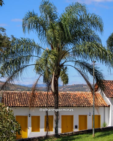Casa histórica do periodo colonial com uma arvore na frente em Congonhas