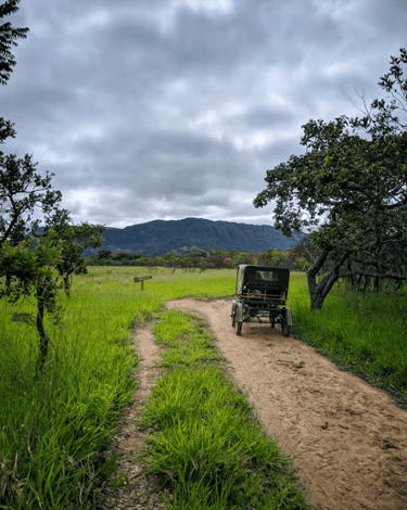 Charreta com vegetação verde e uma trilha na Serra do Cipó