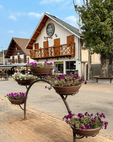 Casa no estilo de construlçao suiço com flores a frente em Monte Verde MG