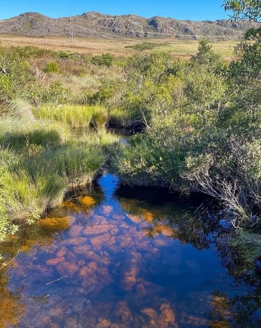 Nascente do Rio São Francisco na Serra da Canastra, com águas transparentes e paisagem natural
