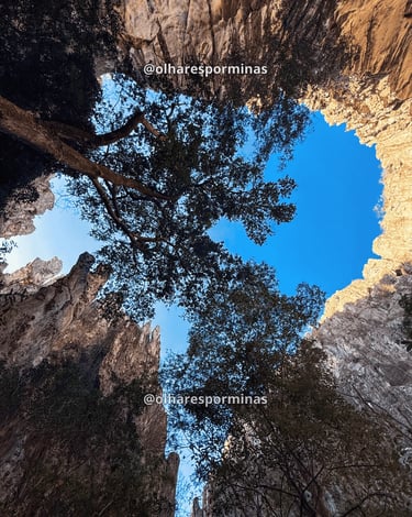 Vista para o alto da Gruta do Salitre com árvores e paredões iluminados pelo sol