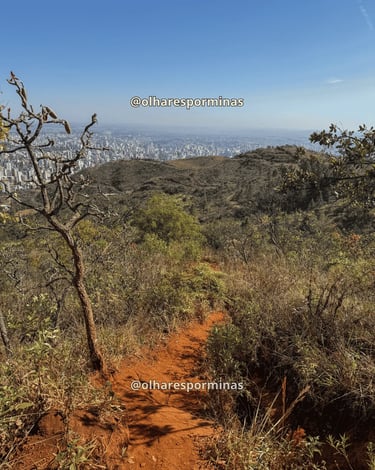 Trilha no Parque da Serra do Curral com vista para Belo Horizonte ao fundo