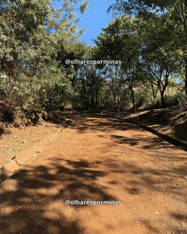 Trilha arborizada no Parque da Serra do Curral, em Belo Horizonte