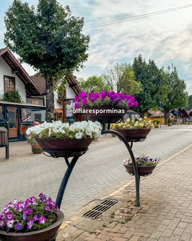 Vasos com flores coloridas na Avenida Principal de Monte Verde