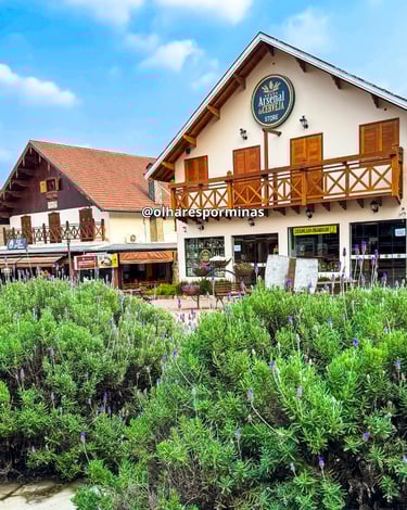 Pés de lavanda com duas casas em estilo Europeu ao fundo em Monte Verde MG