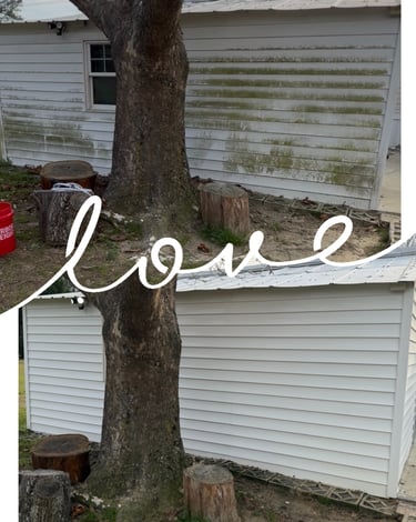 Wilson NC Lawn Care Services | Rubio's Lawn Care & Landscaping