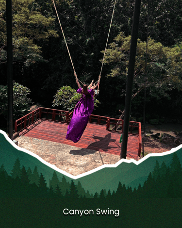 a woman in a purple dress swinging a swing