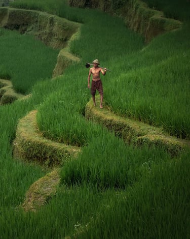 un homme au Lever de soleil sur les rizières en terrasses de Bali — Cyril Mouty photographe de voyage