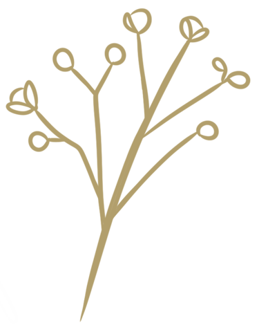 a plant with a bunch of small flowers