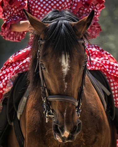 donna che cavalca con vestito rosso a pois bianchi