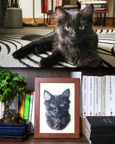 A photo of a black Siberian kitten and its framed custom cat portrait.