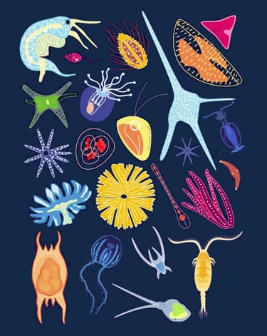 PESTICIDES BIODIVERSITÉ EXTINCTION MASSE OCÉANS PLANCTON