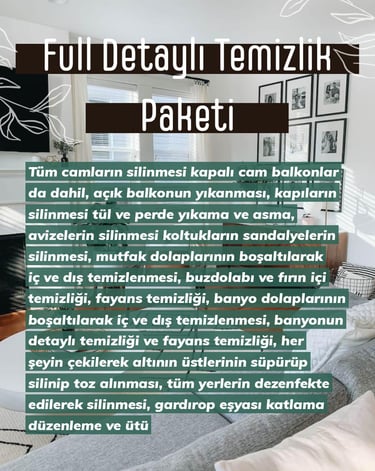 Full Detaylı Temizlik Paketi