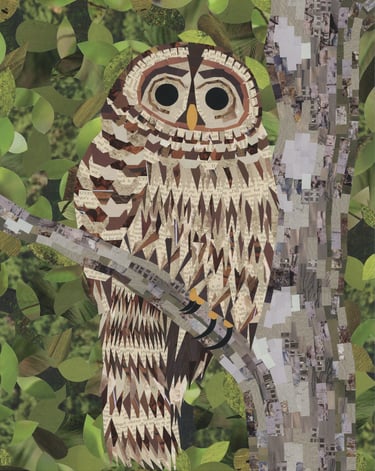 Mixed media paper collage of a barred owl perched on a tree branch with green leaves.