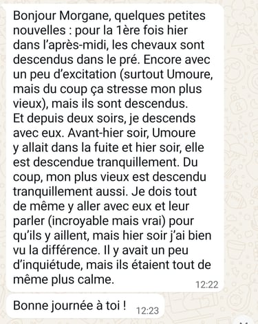 Screenshot of a French WhatsApp message discussing training horses to enter a meadow calmly.