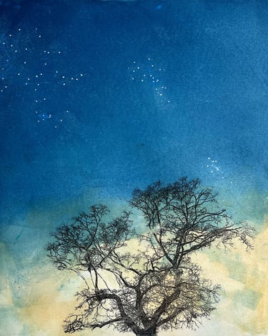monoprint of tree on blue and yellow background