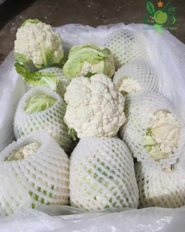 Bông cải trắng Sao Việt