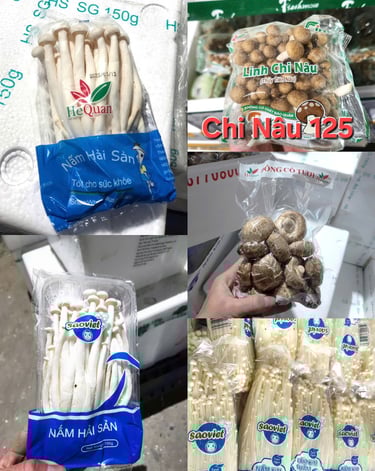 Các loại nấm chay