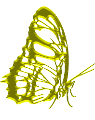 papillon or voyage france guadeloupe