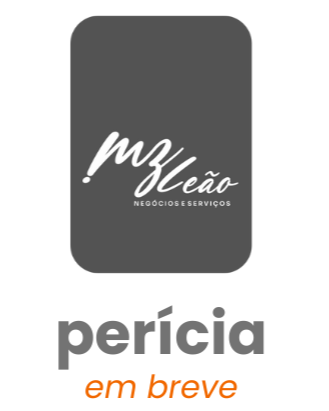 MZ LEÃO NEGÓCIOS E SERVIÇOS - Assessoria em Licitação e Vendas para o Governo - Perícia