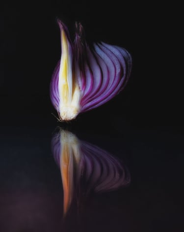 Photographie d un oignon rouge thierry le moel photographe