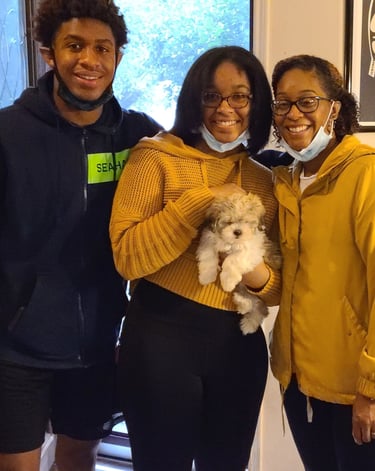 Mal-Shi Puppy Family