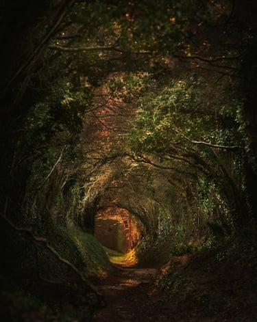 Waldtunnel