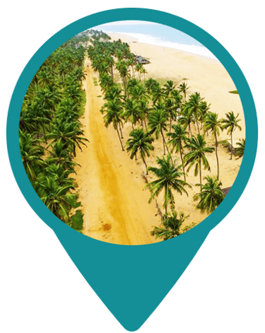 a beach with palm trees and a blue sky