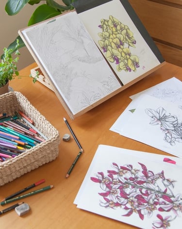 A desk with pencils and hand-drawn floral illustrations