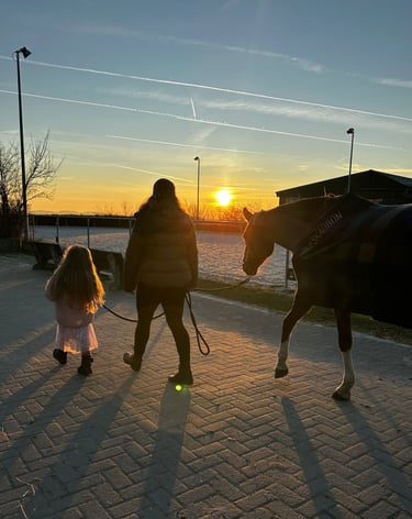Ponytante und ihr Pferd im Sonnenuntergang