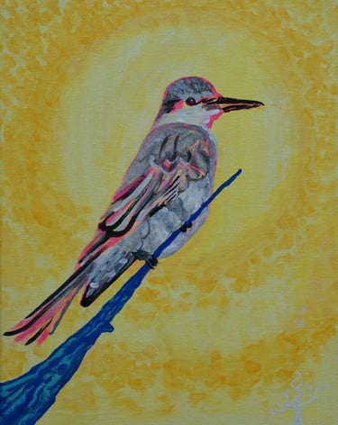 Kevo 2026 14x11"/ Pitirre Antillano/Figurative/Semiotic
