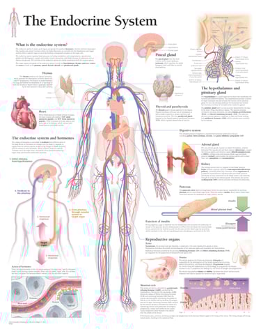 PESTICIDES SANTÉ PERTURBATEURS ENDOCRINIENS