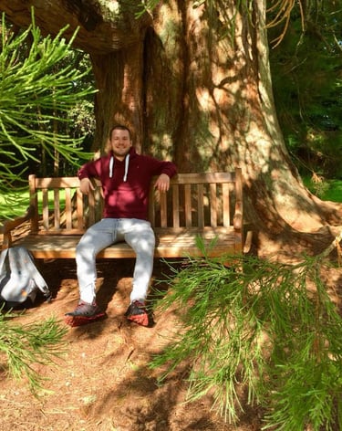 scotland, giant pine tree, bench, me