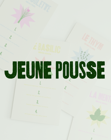 Jeune Pousse Illustration Direction Artistique Julianne Bouget graphiste freelance avec Panaco studio de design graphique 