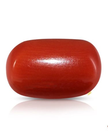 Red Coral Stone