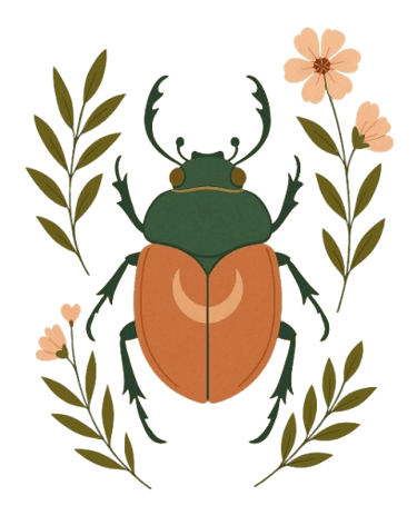 Mallemort Salon-de-Provence Soin Massage