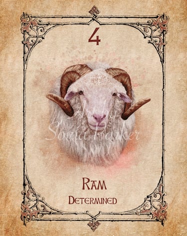 Ram card from the animal spirit oracle deck