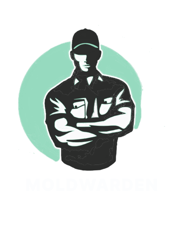 mold inspection near me