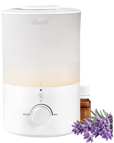 Front-facing Levoit humidifier with lavender sprigs and essential oil bottle beside it